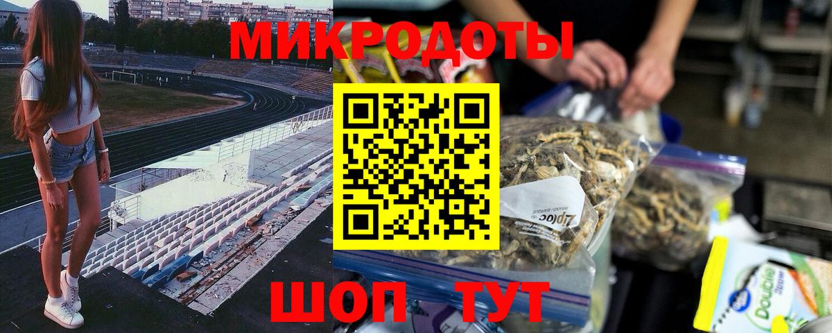 Псилоцибиновые грибы Psilocybe  Вход с VPN  Баксан 