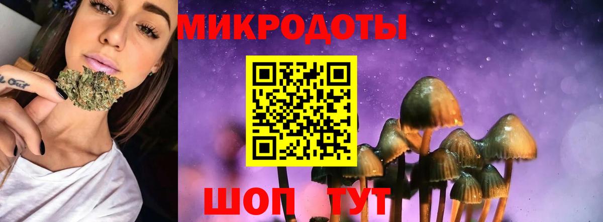 Псилоцибиновые грибы Magic Shrooms Баксан